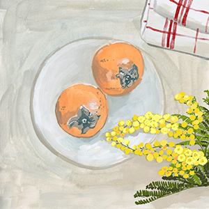 portfolio illustration