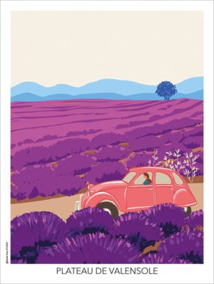 affiche poster Plateau Valensole