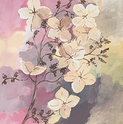 Hortensias à l’automne