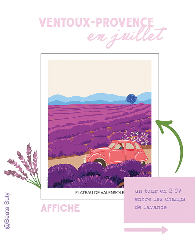 affiche plateau Valensole