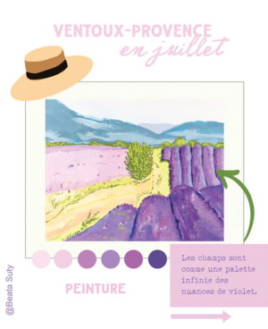 peinture à la gouache champs de lavande